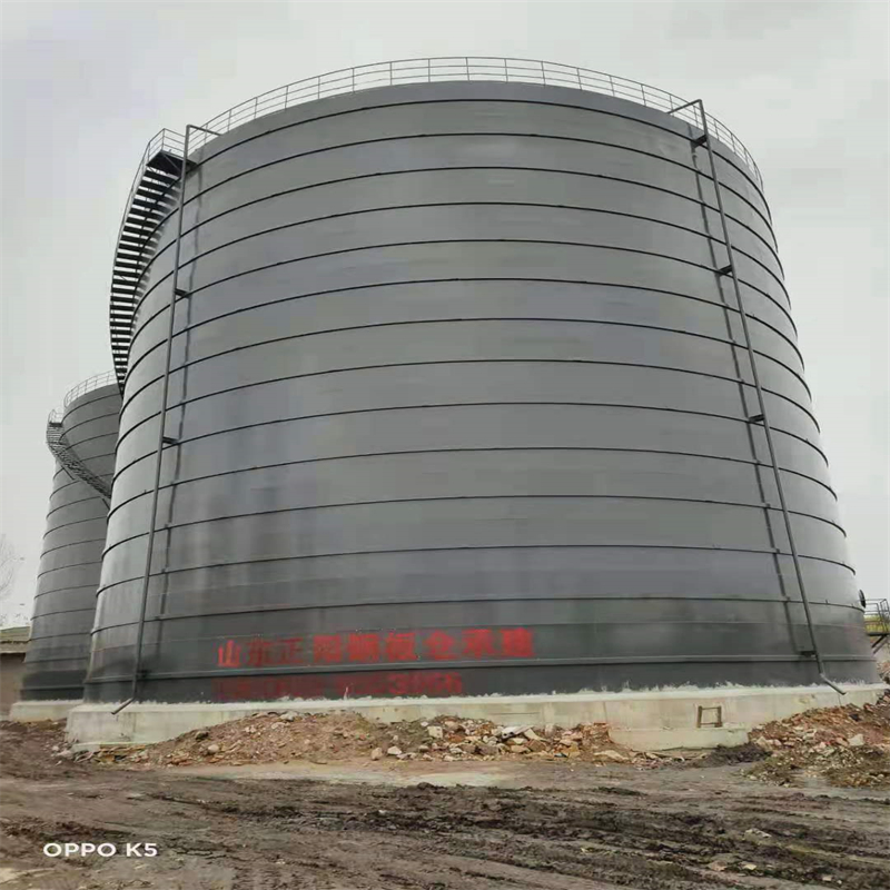 枞阳3万吨大型钢板库