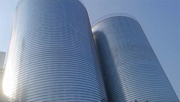 枞阳2座混凝土高架卷板仓